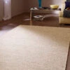 Woll-Teppich, Natur/Beige -Einrichtungsgegenstände Geschäft 1991 25078 Milieu