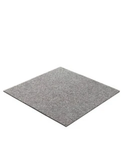Teppichbodenfliese, Silber 5 Teppichbodenfliese, Silber -Einrichtungsgegenstände Geschäft 2995 29509 Perspektive
