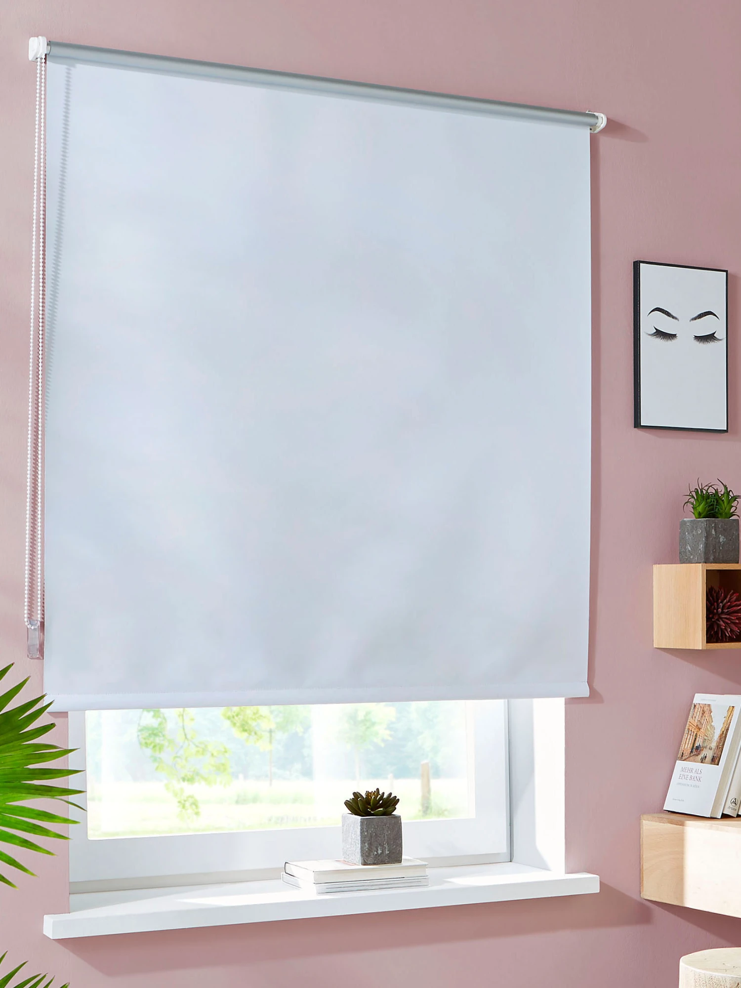 Rollo, Weiss Rollo, Weiss -Einrichtungsgegenstände Geschäft 6788 28910 Milieu