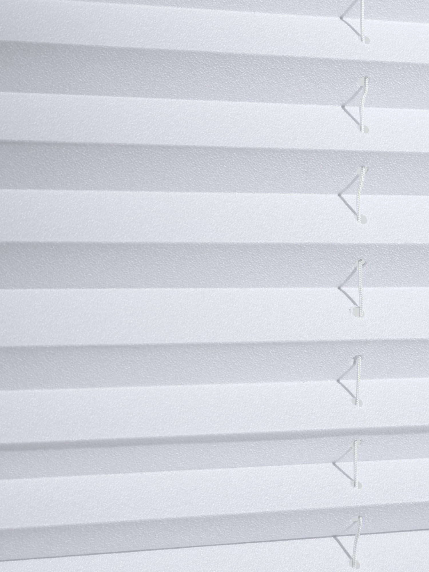 Plissee, Weiss Plissee, Weiss -Einrichtungsgegenstände Geschäft 6790 28920 Lupe