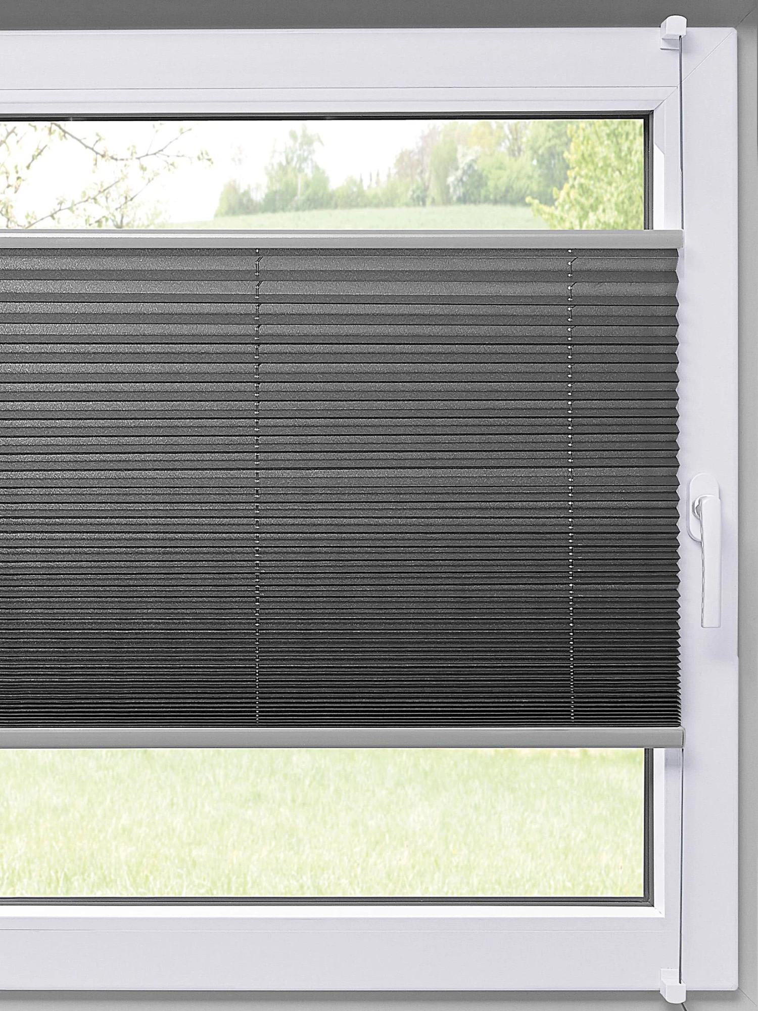 Plissee, Anthrazit Plissee, Anthrazit -Einrichtungsgegenstände Geschäft 6790 52599 Milieu