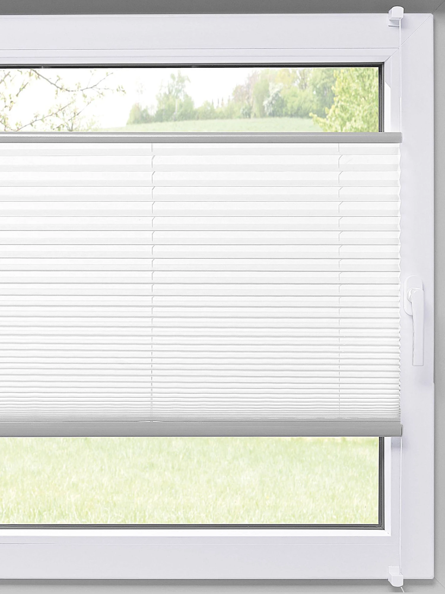 Plissee, Weiss Plissee, Weiss -Einrichtungsgegenstände Geschäft 6790 52601 Milieu