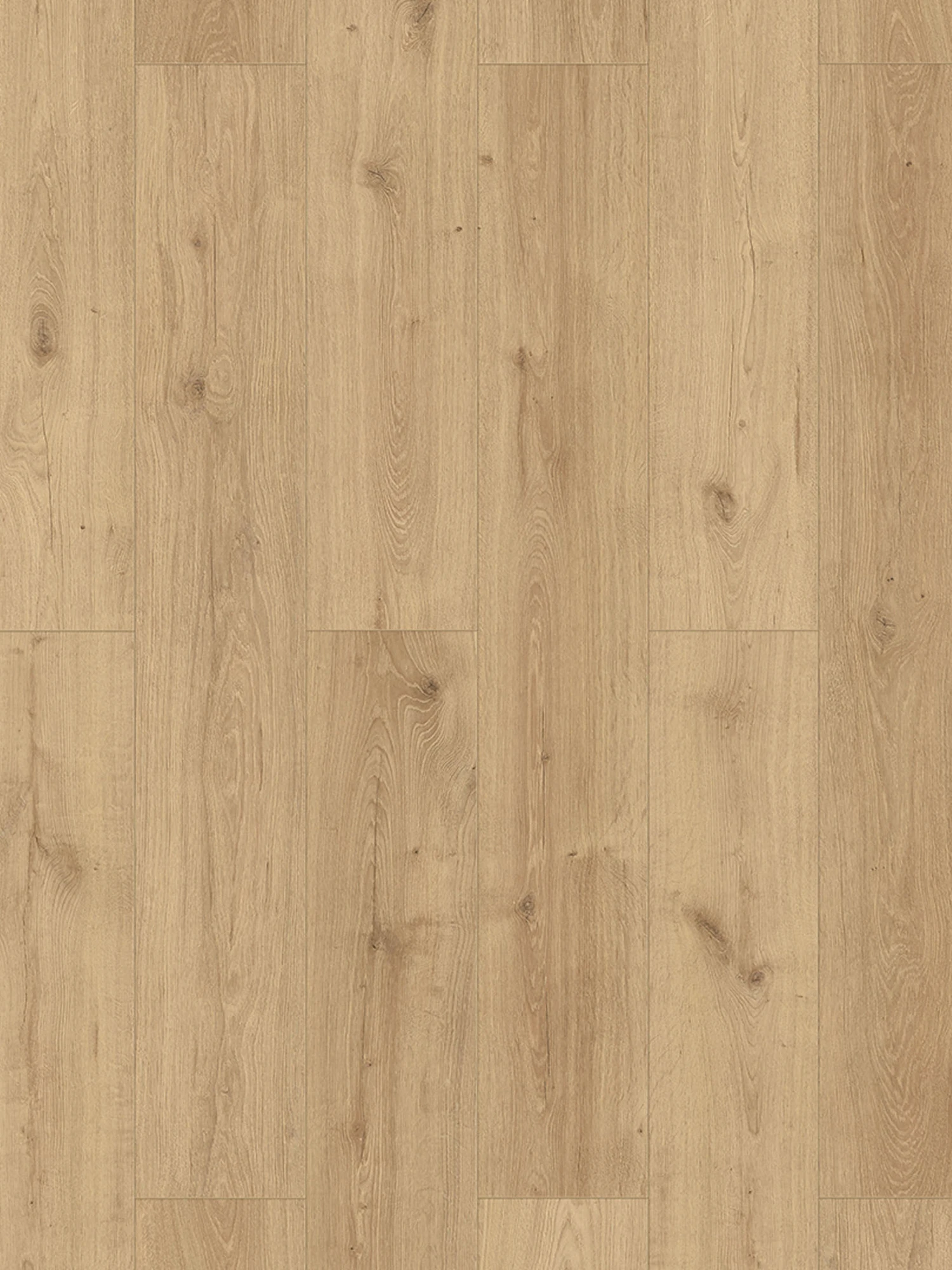 Klick-Laminat, Bright Wood 62287 Klick-Laminat, Bright Wood 62287 -Einrichtungsgegenstände Geschäft AquaWood Laminat BrightWood lup2
