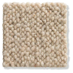 Einrichtungsgegenstände Geschäft -Einrichtungsgegenstände Geschäft Auckland Wollteppichboden dunkelbeige sand87 10x10 lup