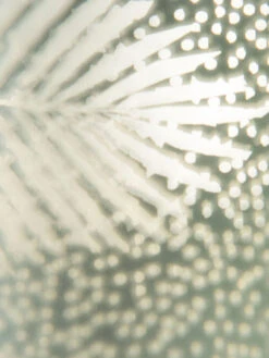 Teelichthalter, Hellgrün -Einrichtungsgegenstände Geschäft BlaetterLightUp Teelichthalter Hellgruen 12x12x18 lup2