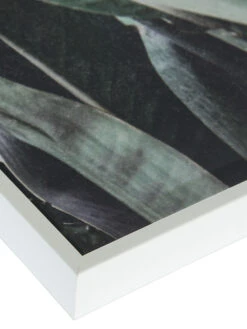 Leinwand-Druck-gerahmt, Grün -Einrichtungsgegenstände Geschäft Botanik Druckgerahmt Gruen 50x70 lup2