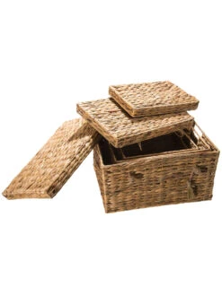 Box, Natur -Einrichtungsgegenstände Geschäft BoxTrunk Box Hellbraun Natur set2