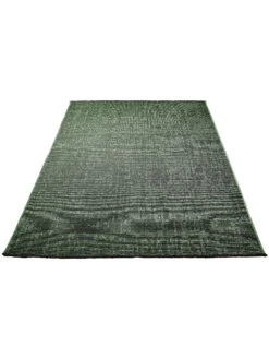 Moderner Teppich, Moosgrün 5 Moderner Teppich, Moosgrün -Einrichtungsgegenstände Geschäft Cardiff ModernerTeppich Gruen Moosgruen 160x230 fper