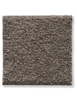 Velours-Teppichboden, Mocca 47 -Einrichtungsgegenstände Geschäft Cirella VeloursTeppichboden Braun Mocca47 10x10 lup