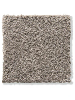 Velours-Teppichboden, Latte Macchiato 43 3 Velours-Teppichboden, Latte Macchiato 43 -Einrichtungsgegenstände Geschäft Cirella VeloursTeppichboden Hellbraun LatteMacchiato43 10x10 lup