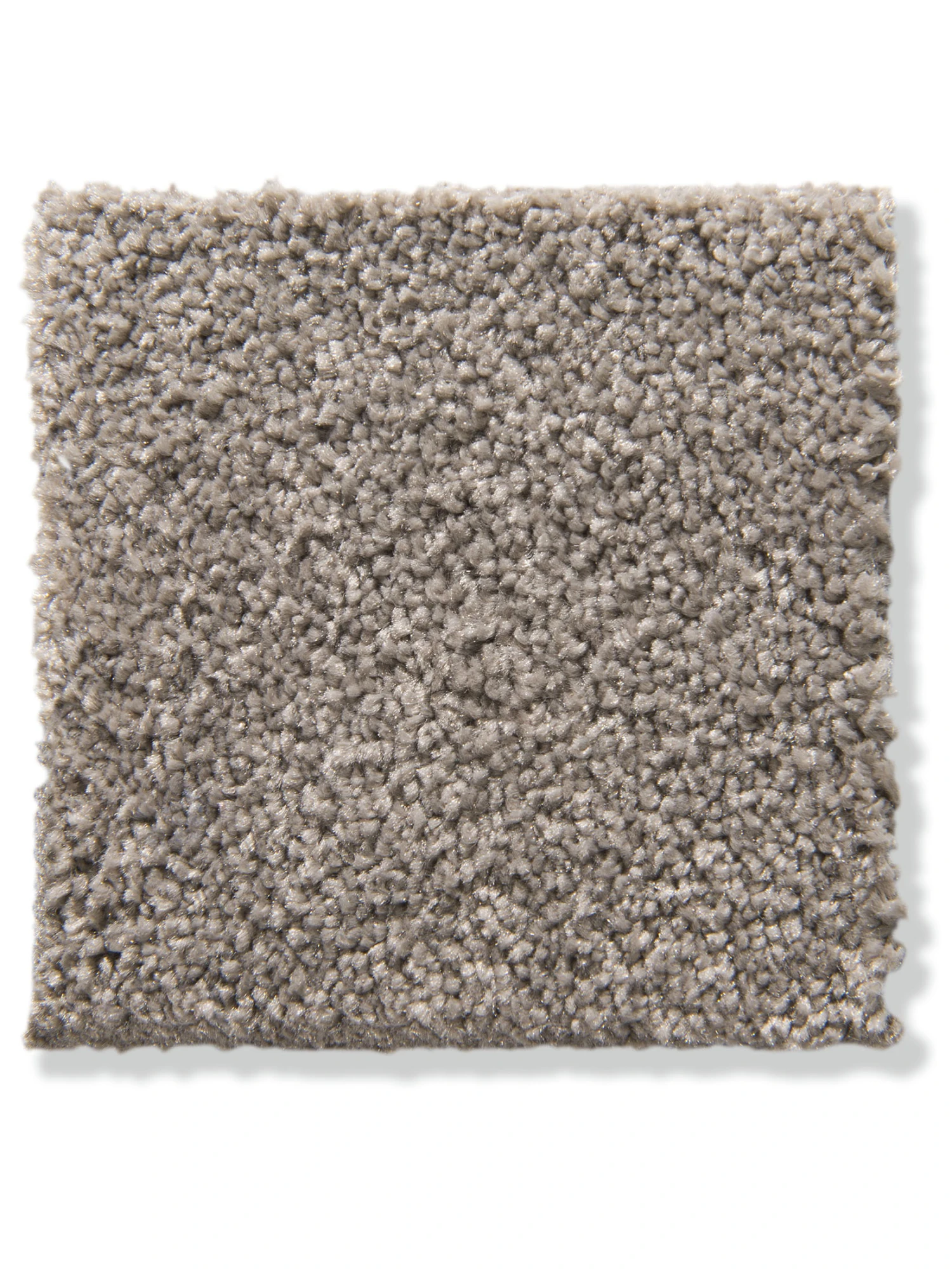 Velours-Teppichboden, Latte Macchiato 43 Velours-Teppichboden, Latte Macchiato 43 -Einrichtungsgegenstände Geschäft Cirella VeloursTeppichboden Hellbraun LatteMacchiato43 10x10 lup