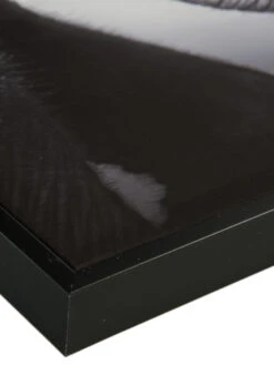 Leinwand-Druck-gerahmt, Schwarz -Einrichtungsgegenstände Geschäft ElephantBaby Druckgerahmt Grau Schwarz 60x60 lup2