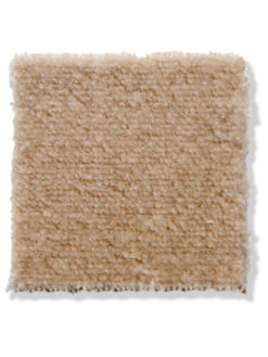 Velours-Teppichboden, Ivory 34 -Einrichtungsgegenstände Geschäft Emotion Veloursteppichboden creme ivory34 lup2