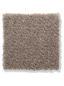 Velours-Teppichboden, Taupe 49 -Einrichtungsgegenstände Geschäft Emotion Veloursteppichboden graubeige taupe49 lup2