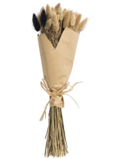 Trockenblume, Natural -Einrichtungsgegenstände Geschäft Flowerbouquet Trockenblume Dunkelbeige Natural 40 pla2