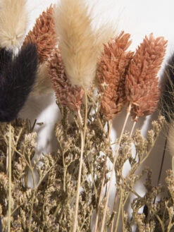 Trockenblume, Multicolor -Einrichtungsgegenstände Geschäft Flowerbouquet Trockenblume Mehrfarbig Multicolor 40 lup