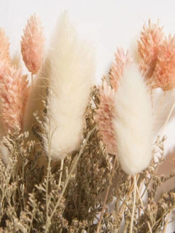 Trockenblume, Beige/Rosa -Einrichtungsgegenstände Geschäft Flowerbouquet Trockenblume Rosa BeigeRosa 40 lup