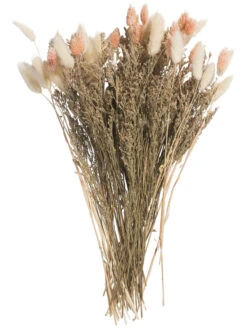 Trockenblume, Beige/Rosa -Einrichtungsgegenstände Geschäft Flowerbouquet Trockenblume Rosa BeigeRosa 40 pla1