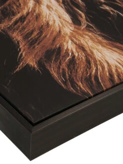 Leinwandbild, Braun -Einrichtungsgegenstände Geschäft Highlandrind Leinwandbild Braun 83x103 lup2