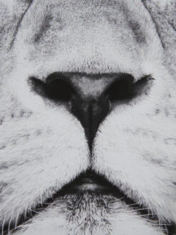 Leinwand-Druck-gerahmt, Schwarz/Grau 4 Leinwand-Druck-gerahmt, Schwarz/Grau -Einrichtungsgegenstände Geschäft KingLeo Druckgerahmt Grau SchwarzGrau 50x70 lup