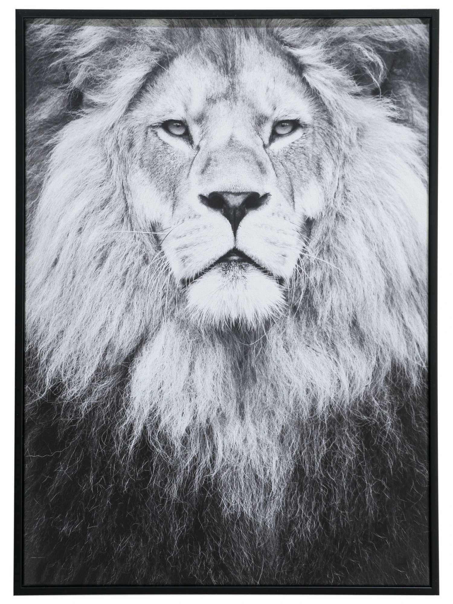 Leinwand-Druck-gerahmt, Schwarz/Grau Leinwand-Druck-gerahmt, Schwarz/Grau -Einrichtungsgegenstände Geschäft KingLeo Druckgerahmt Grau SchwarzGrau 50x70 pla