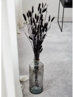 Trockenblume, Schwarz -Einrichtungsgegenstände Geschäft Lagurus Trockenblume Schwarz 75cm mil
