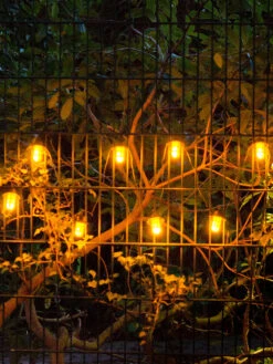 Lichterkette, Schwarz