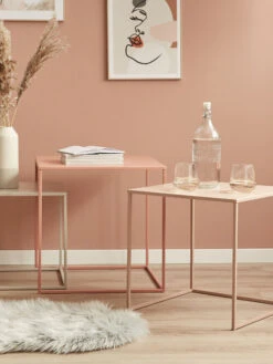 Tisch, Koralle -Einrichtungsgegenstände Geschäft Liona Tisch Set mil 1