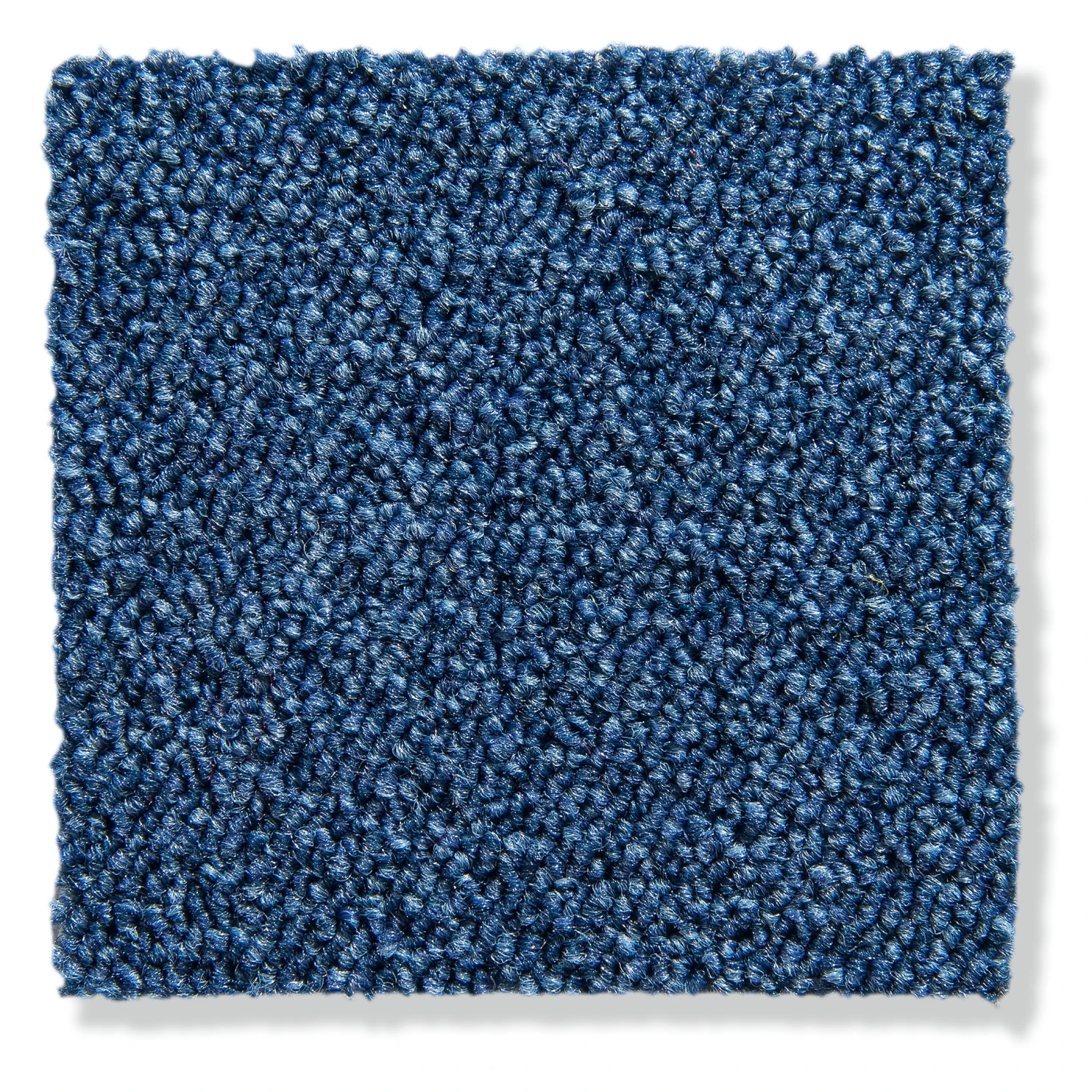 Schlingen-Teppichboden, Hellblau Schlingen-Teppichboden, Hellblau -Einrichtungsgegenstände Geschäft Optimal SchlingenTeppichboden Blau Hellblau75 10x10 lup