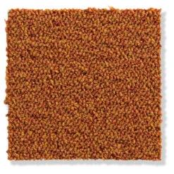 Schlingen-Teppichboden, Terra