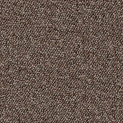 Schlingen-Teppichboden, Hellbraun 37 4 Schlingen-Teppichboden, Hellbraun 37 -Einrichtungsgegenstände Geschäft Optimal Schlingenteppichboden hellbraun 37 lup1