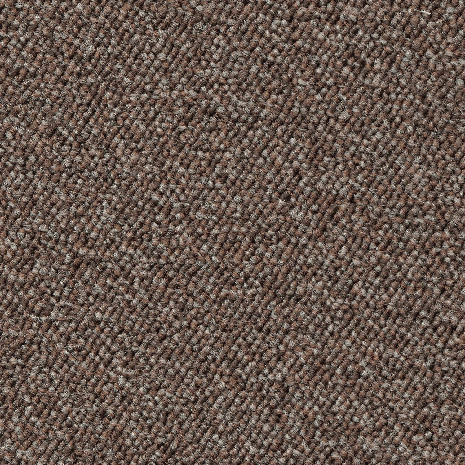 Schlingen-Teppichboden, Hellbraun 37 Schlingen-Teppichboden, Hellbraun 37 -Einrichtungsgegenstände Geschäft Optimal Schlingenteppichboden hellbraun 37 lup1