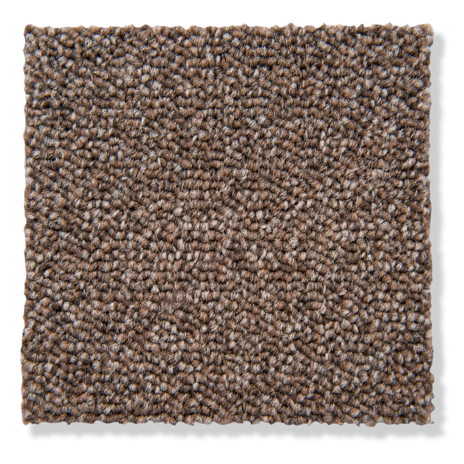 Schlingen-Teppichboden, Hellbraun 37 Schlingen-Teppichboden, Hellbraun 37 -Einrichtungsgegenstände Geschäft Optimal Schlingenteppichboden hellbraun 37 lup2