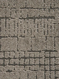 Moderner Teppich, Taupe -Einrichtungsgegenstände Geschäft Pardo DesignerTeppich Beige Taupe 160x230 lup