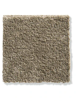 Velours-Teppichboden, Cappuccino 92 -Einrichtungsgegenstände Geschäft Parma Veloursteppichboden Beige Cappuccino492 lup