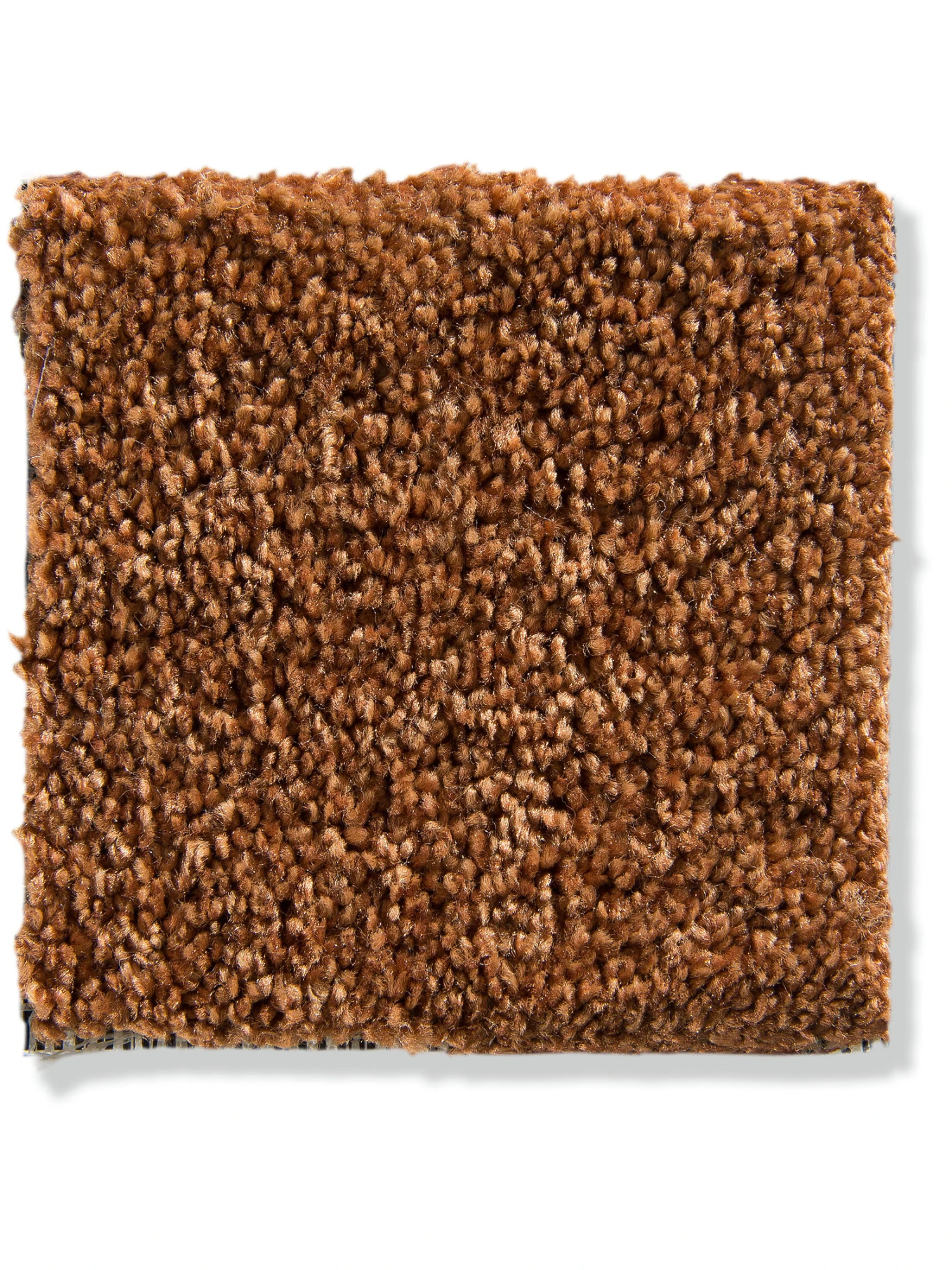 Velours-Teppichboden, Terra Velours-Teppichboden, Terra -Einrichtungsgegenstände Geschäft Praia VeloursTeppichboden Terra Terra31 10x10 lup