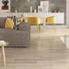 Klick-Laminat, Light Oak 62260 -Einrichtungsgegenstände Geschäft Premium Laminat LightOak mil