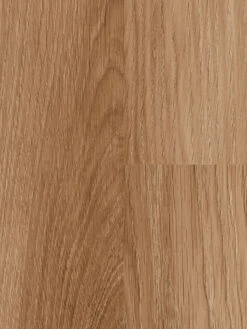 Klick-Laminat, Natural Oak 62261 -Einrichtungsgegenstände Geschäft Premium Laminat NaturalOak lup