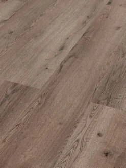 Klick-Laminat, Wildeiche 62259 3 Klick-Laminat, Wildeiche 62259 -Einrichtungsgegenstände Geschäft Premium Laminat Wildeiche per2