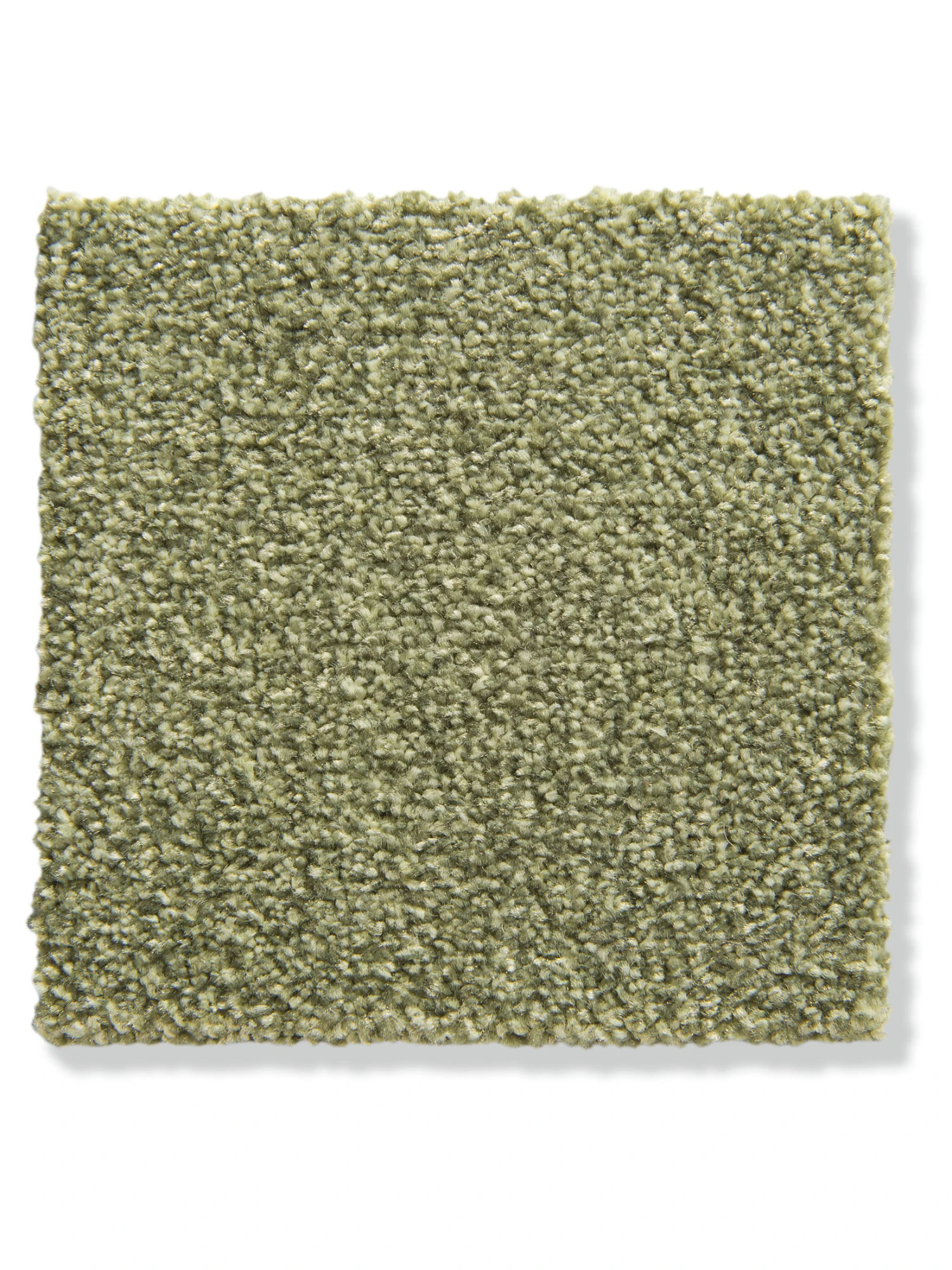 Velours-Teppichboden, Green Velours-Teppichboden, Green -Einrichtungsgegenstände Geschäft Salerno VeloursTeppichboden Gruen Green23 lup