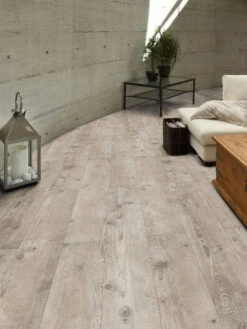 Klick-Laminat, Bobs Pine 51482 -Einrichtungsgegenstände Geschäft Saltum Laminat BobsPine mil5