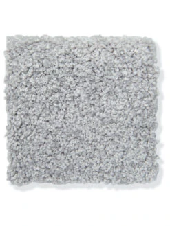 Velours-Teppichboden, Coral -Einrichtungsgegenstände Geschäft Satin Veloursteppichboden hellgrau coral95 lup