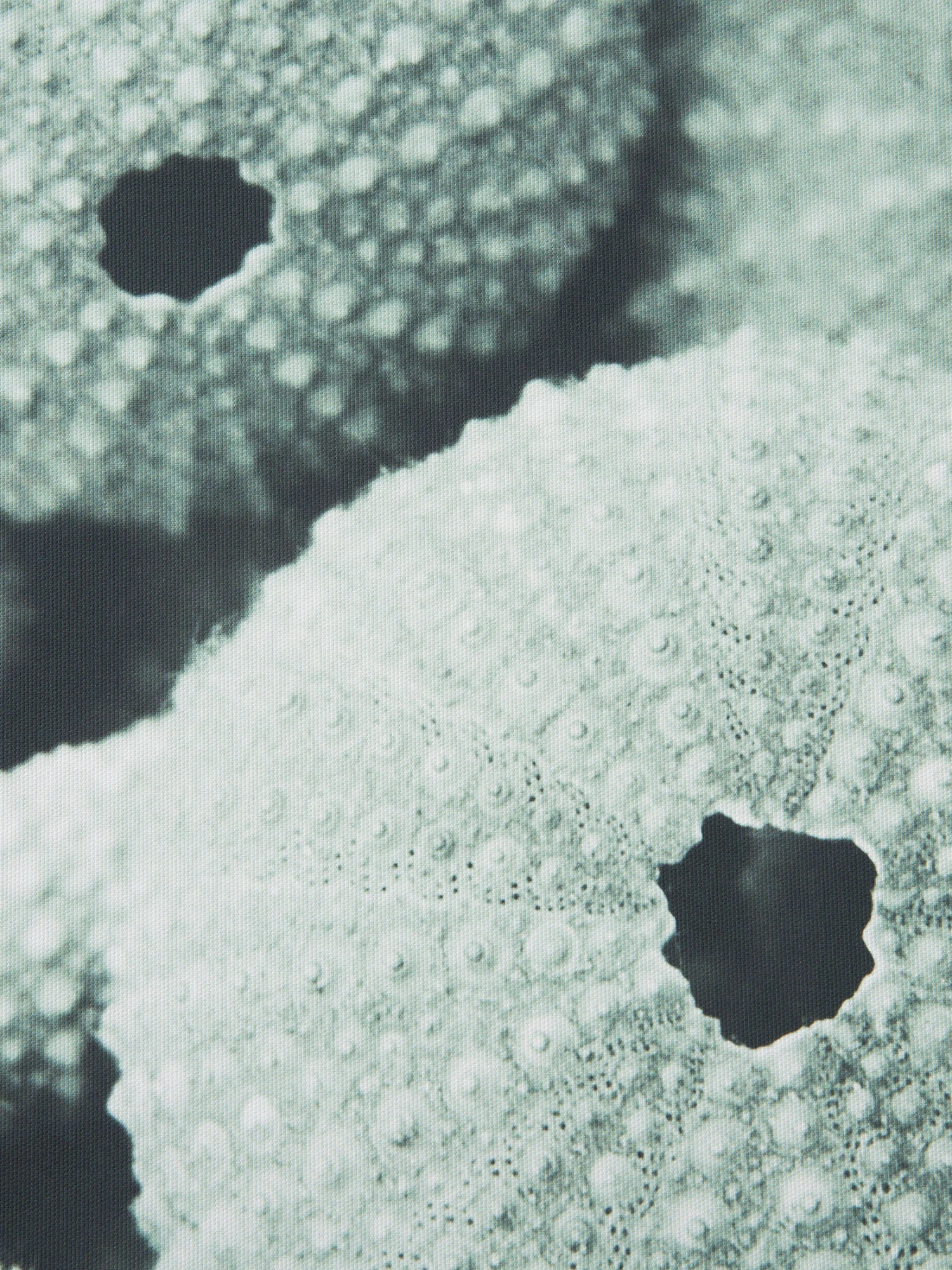 Leinwand-Druck-gerahmt, Hellgrün Leinwand-Druck-gerahmt, Hellgrün -Einrichtungsgegenstände Geschäft Seeigel Druckgerahmt Gruen Hellgruen 50x120 lup