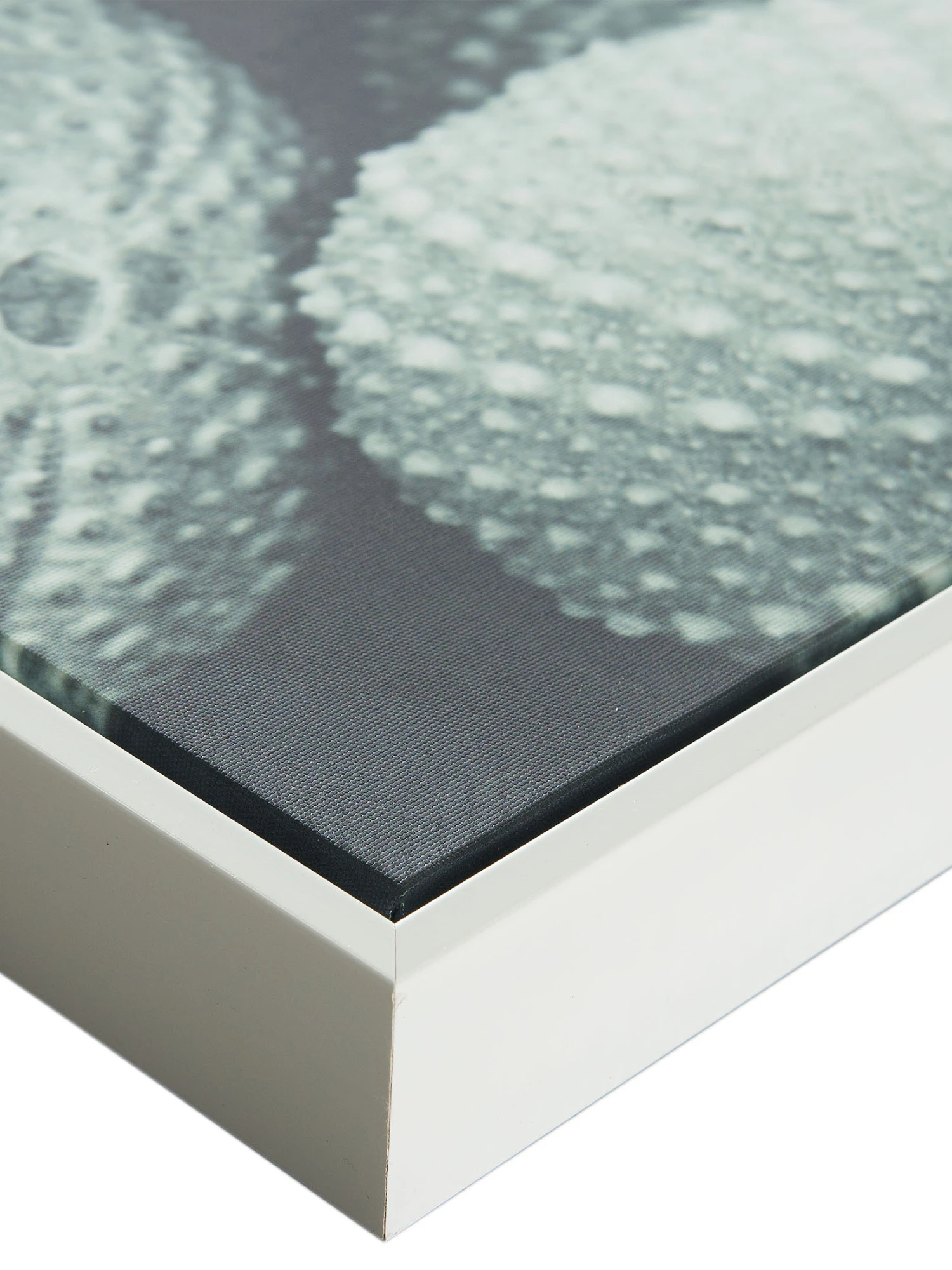 Leinwand-Druck-gerahmt, Hellgrün Leinwand-Druck-gerahmt, Hellgrün -Einrichtungsgegenstände Geschäft Seeigel Druckgerahmt Gruen Hellgruen 50x120 lup2