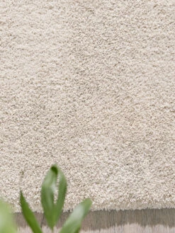 Hochflor-Teppich, Cream -Einrichtungsgegenstände Geschäft Sensation HochflorTeppich creme cream 160x230 spar