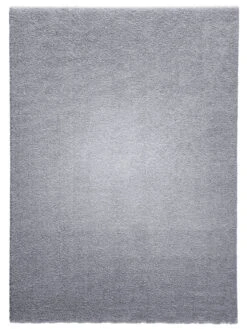 Hochflor-Teppich, Hellgrau 3 Hochflor-Teppich, Hellgrau -Einrichtungsgegenstände Geschäft Sensation UniTeppich Hellgrau 160x230 pla