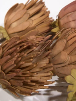 Kunstblume, Orange -Einrichtungsgegenstände Geschäft Softflower Kunstblume Terra Orange 103 lup