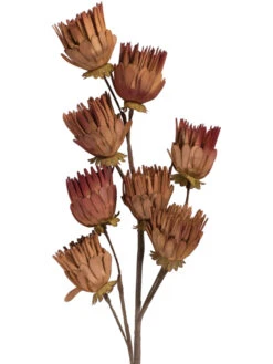 Kunstblume, Orange -Einrichtungsgegenstände Geschäft Softflower Kunstblume Terra Orange 103 pla2