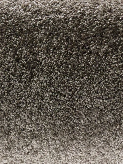 Velours-Teppichboden, Taupe 97 4 Velours-Teppichboden, Taupe 97 -Einrichtungsgegenstände Geschäft Symphonie VeloursTeppichboden Grau Taupe97 hro