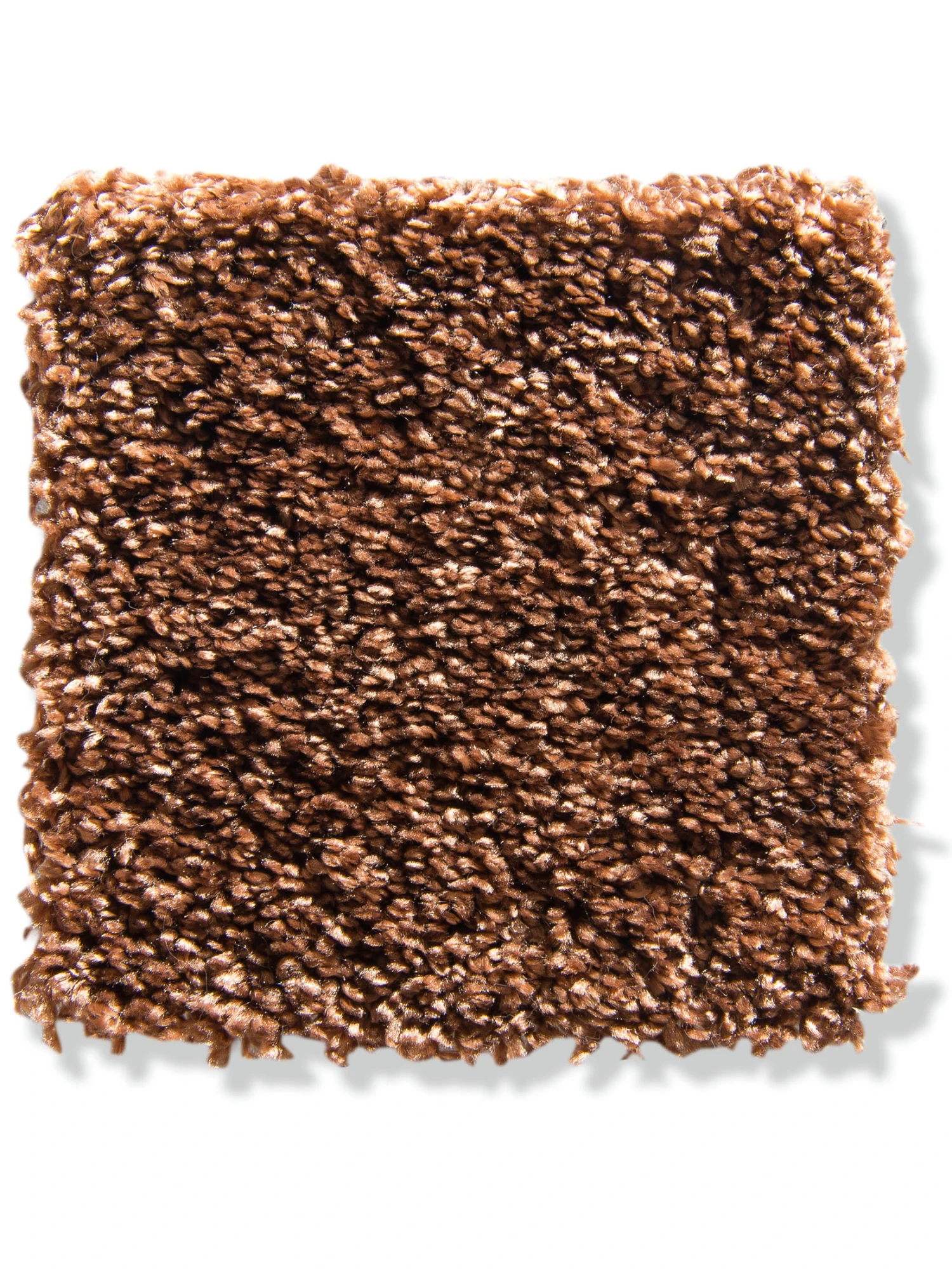 Velours-Teppichboden, Kupfer 82 Velours-Teppichboden, Kupfer 82 -Einrichtungsgegenstände Geschäft Symphonie VeloursTeppichboden Terra Kupfer82 10x10 lup